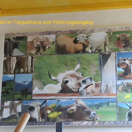 Stine Апартаменты