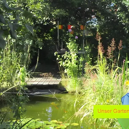 Stine * Штеттен